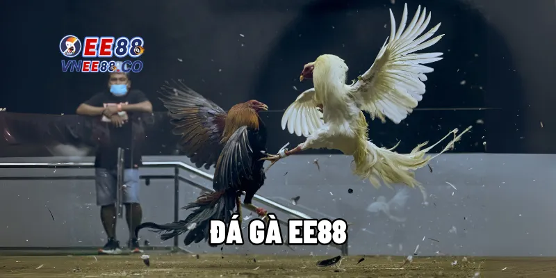 Đá gà ee88